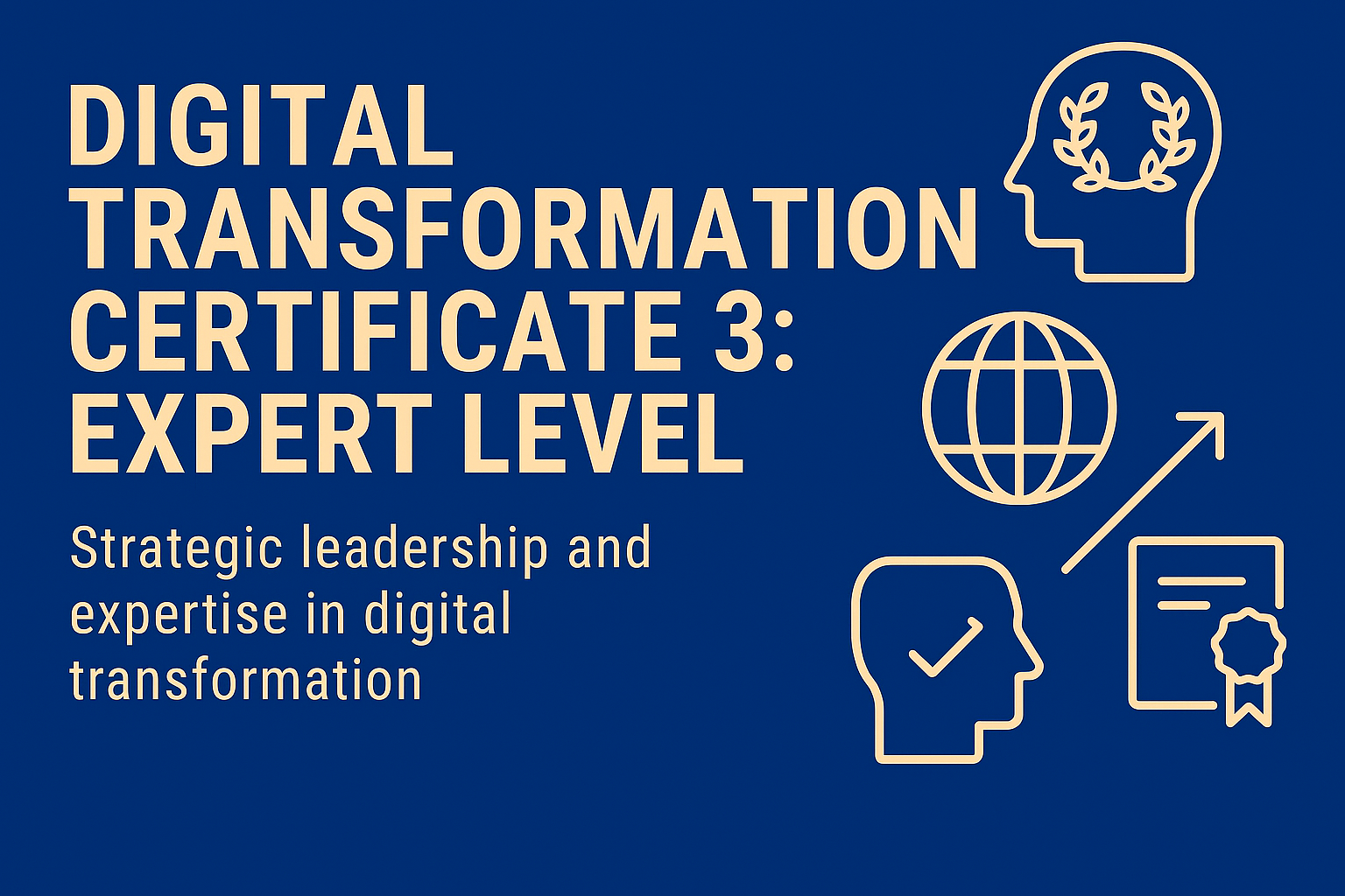 Digital Transformation Certificate 3 – Niveau Expert